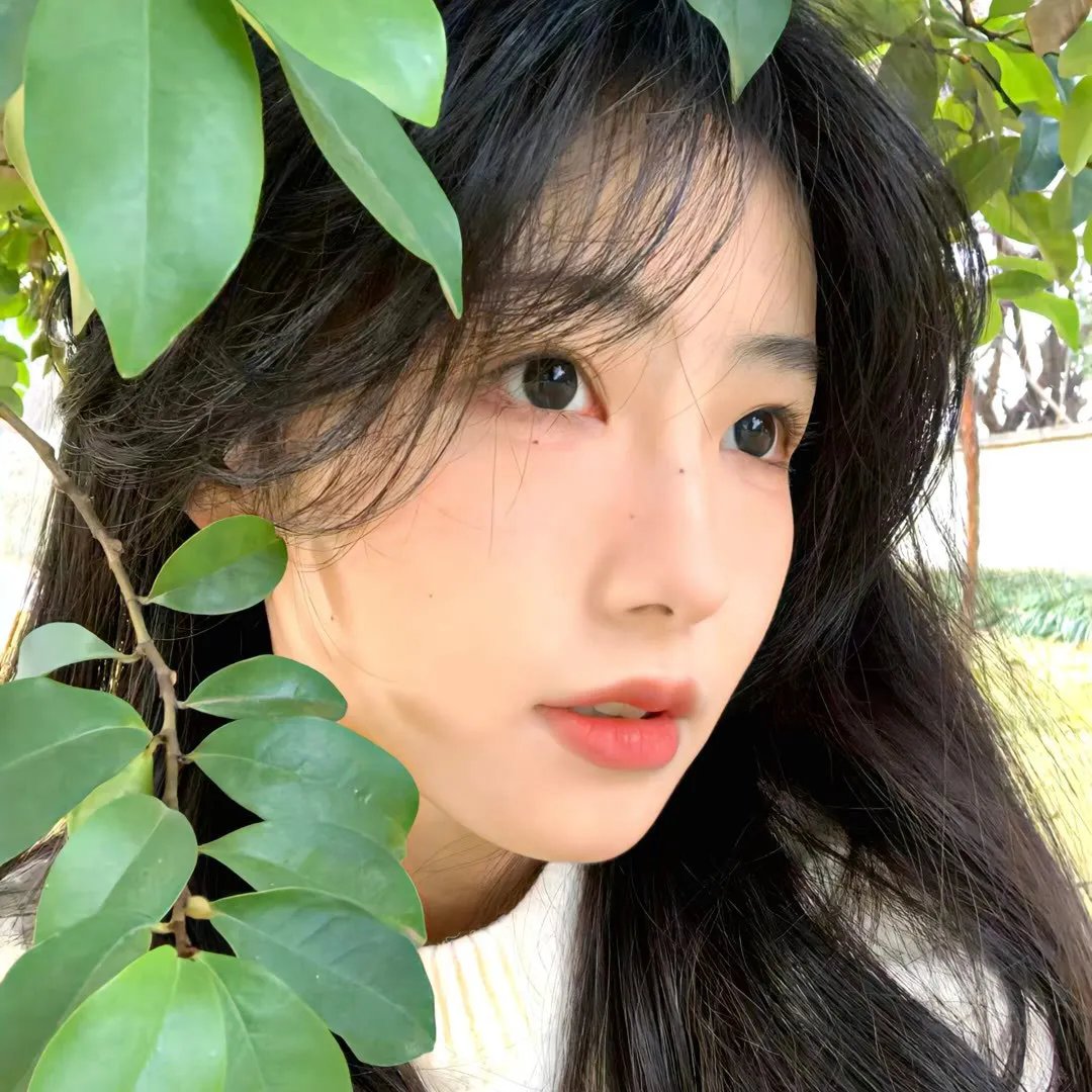 在13000英尺高的安妮