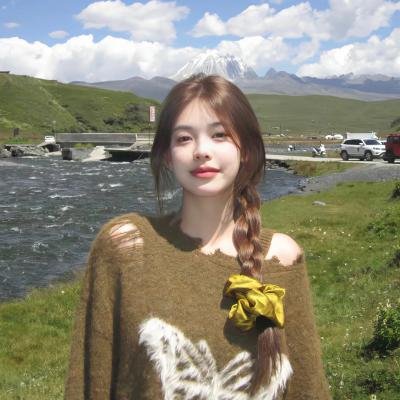 亮剑之英雄虎胆